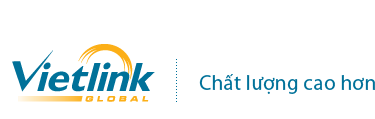 Vietlink global